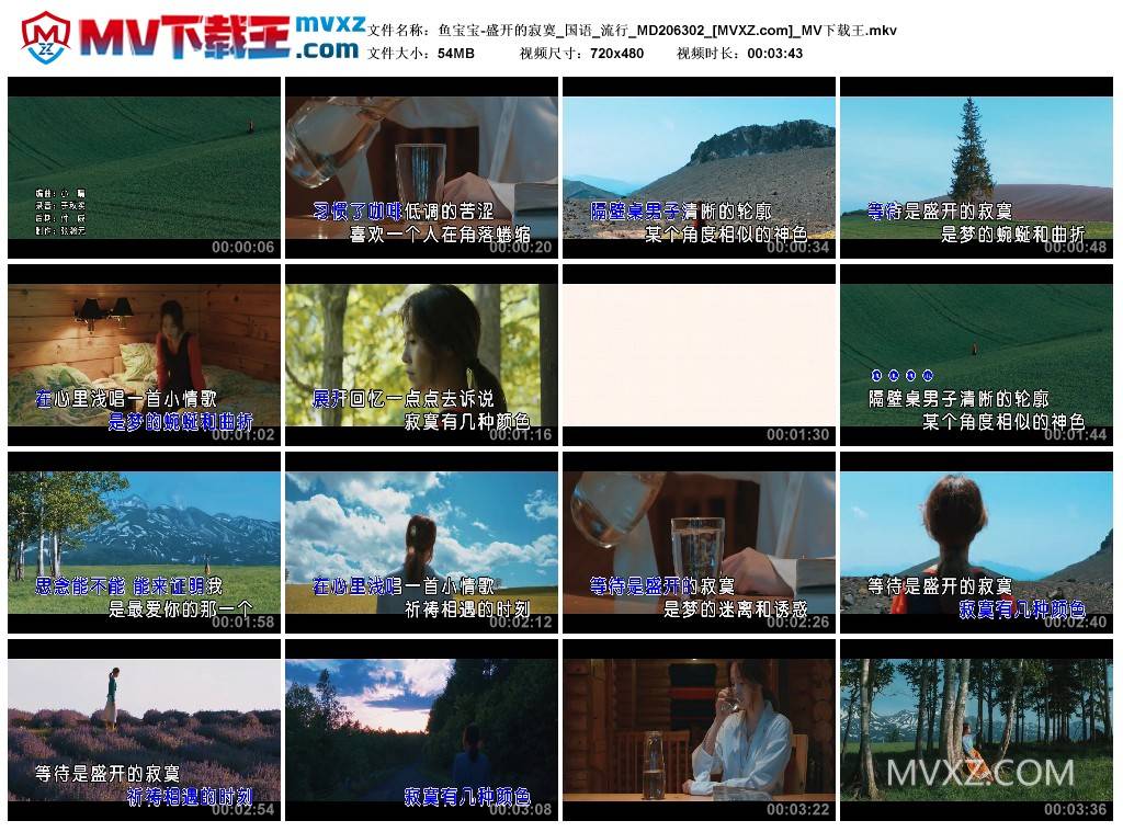 鱼宝宝-盛开的寂寞_国语_流行_MD206302